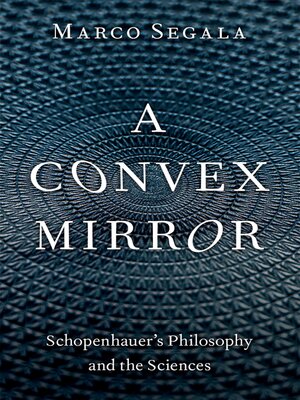 cover image of A Convex Mirror